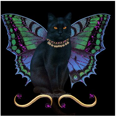 Кот-фея - кот, фея - оригинал