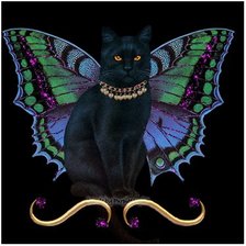 Схема вышивки «Кот-фея»