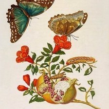 Схема вышивки «№1868879»