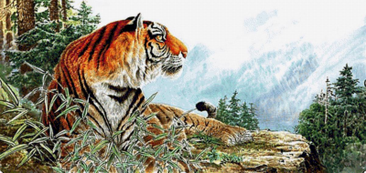 №1869029 - тигры - предпросмотр