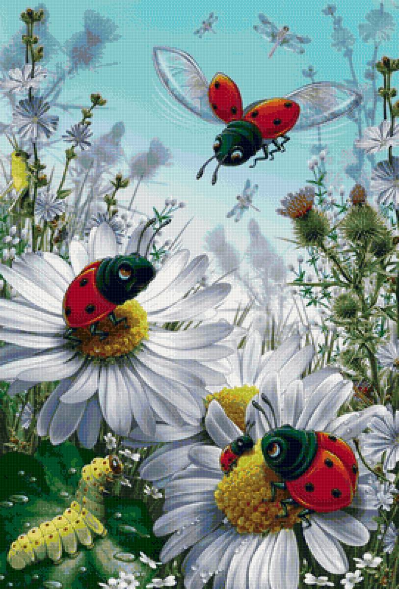 цветы - предпросмотр