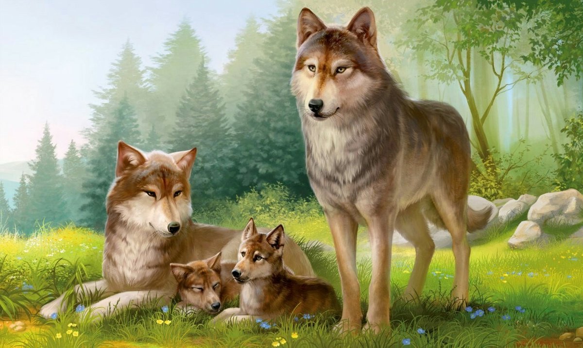 Семейство волков - животные, природа, рисунок, волки, волк, лес - оригинал