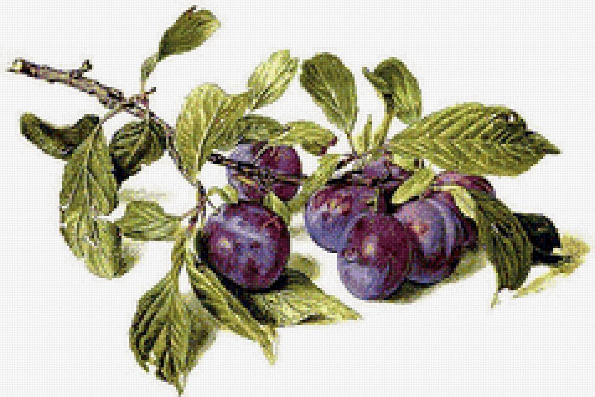 Ветка сливы - для кухни, сливы, панно, ветка - предпросмотр