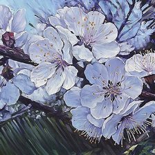 Схема вышивки «яблоня»