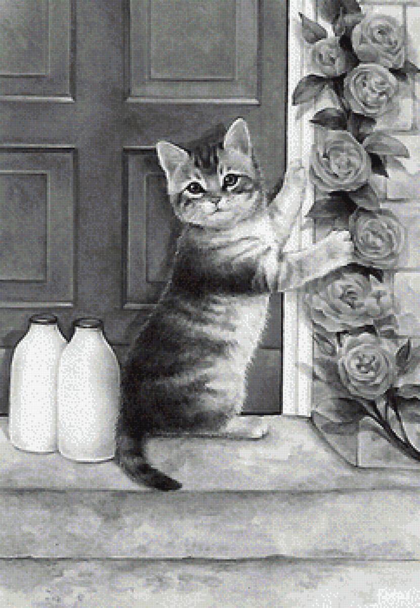 рисунок - предпросмотр