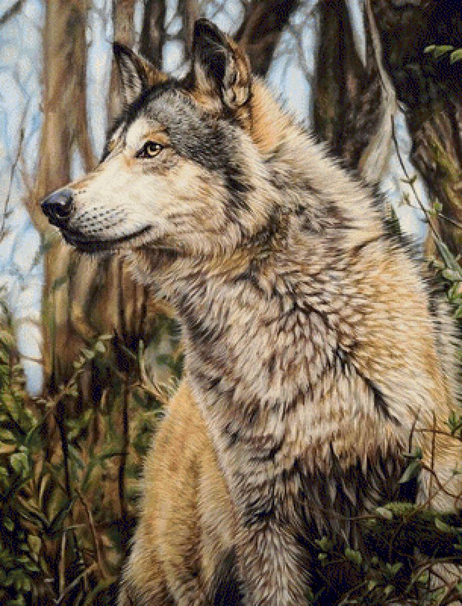 №1869833 - предпросмотр