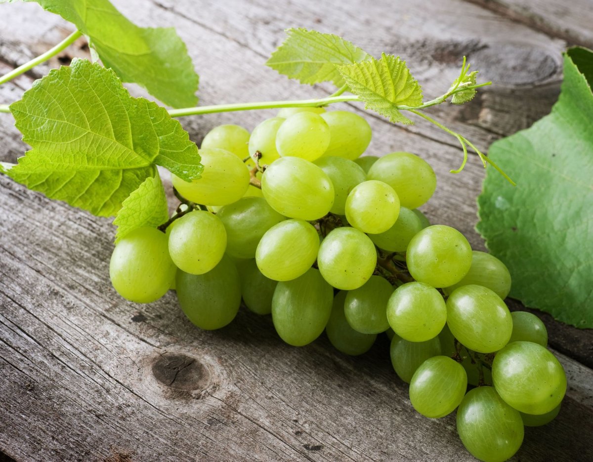 Виноград - виноград, фрукты - оригинал