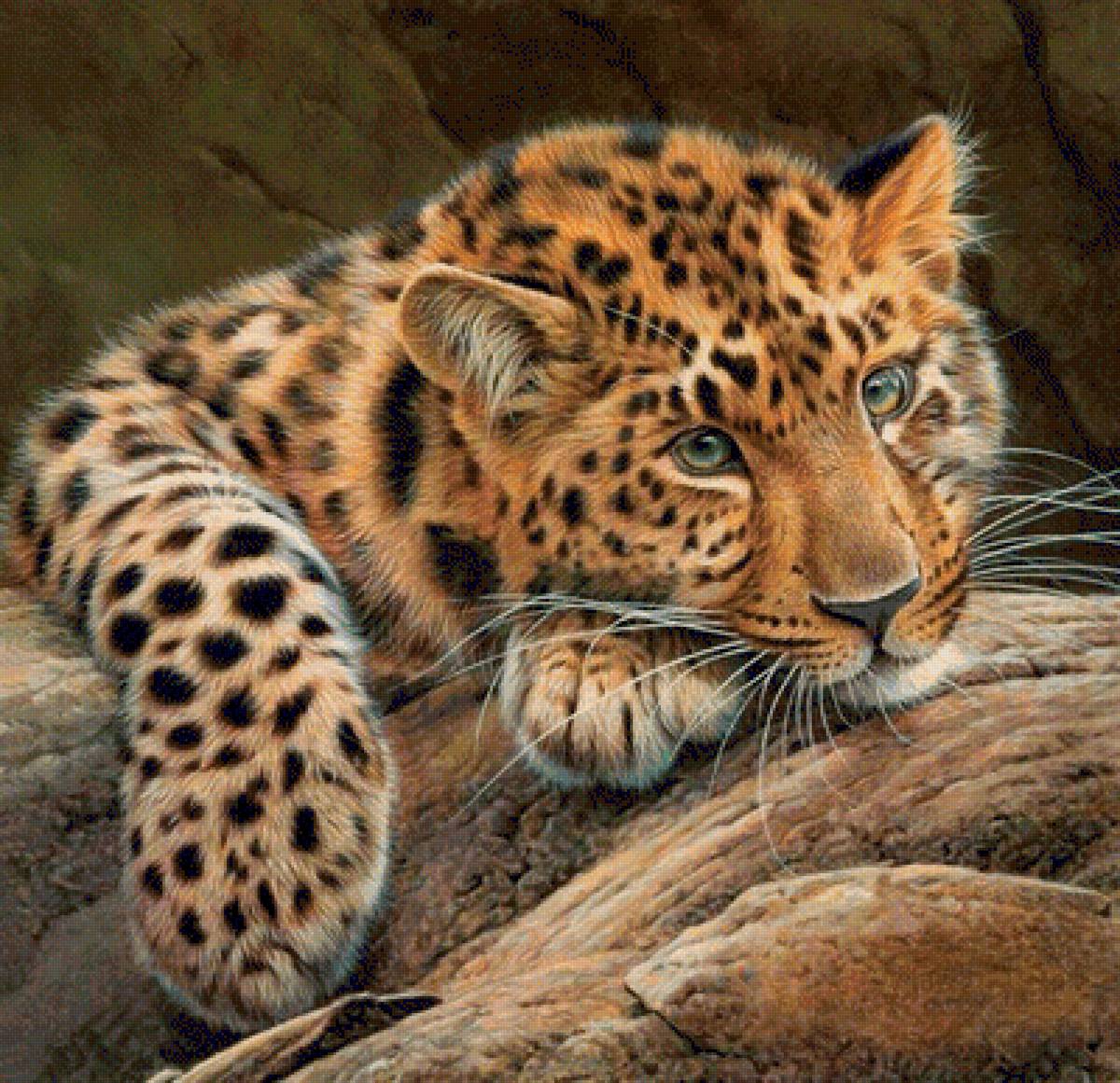 Леопард - рисунок, животные, леопард - предпросмотр