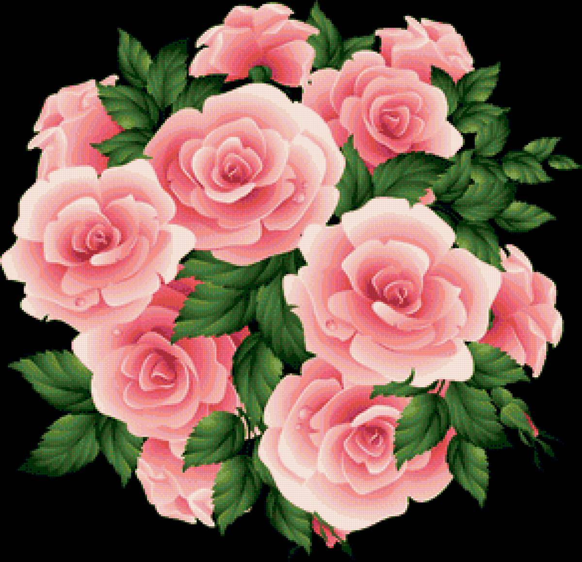 Розочки - розы, цветы .букет - предпросмотр