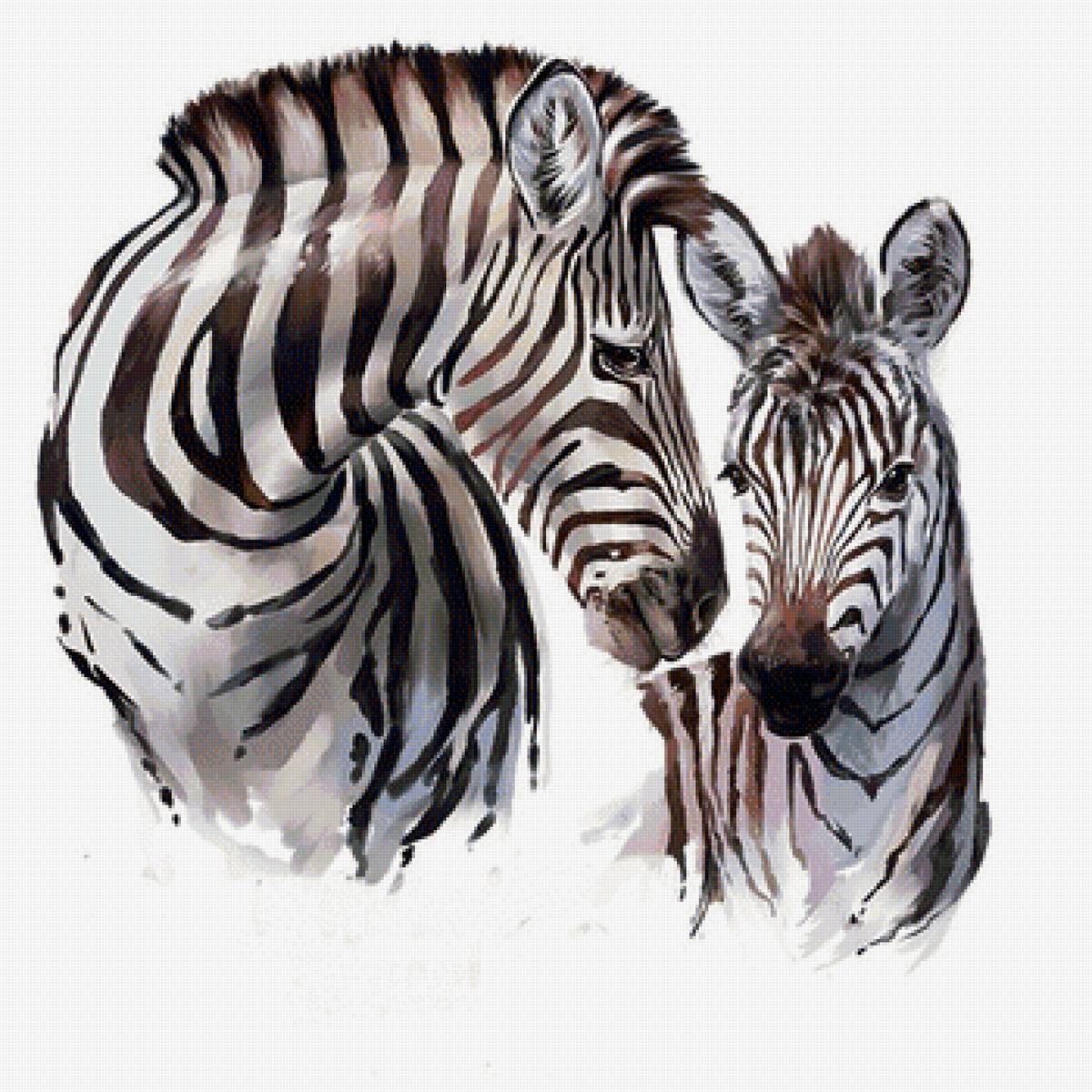 Зебры - рисунок, зебры, зебра, животные - предпросмотр