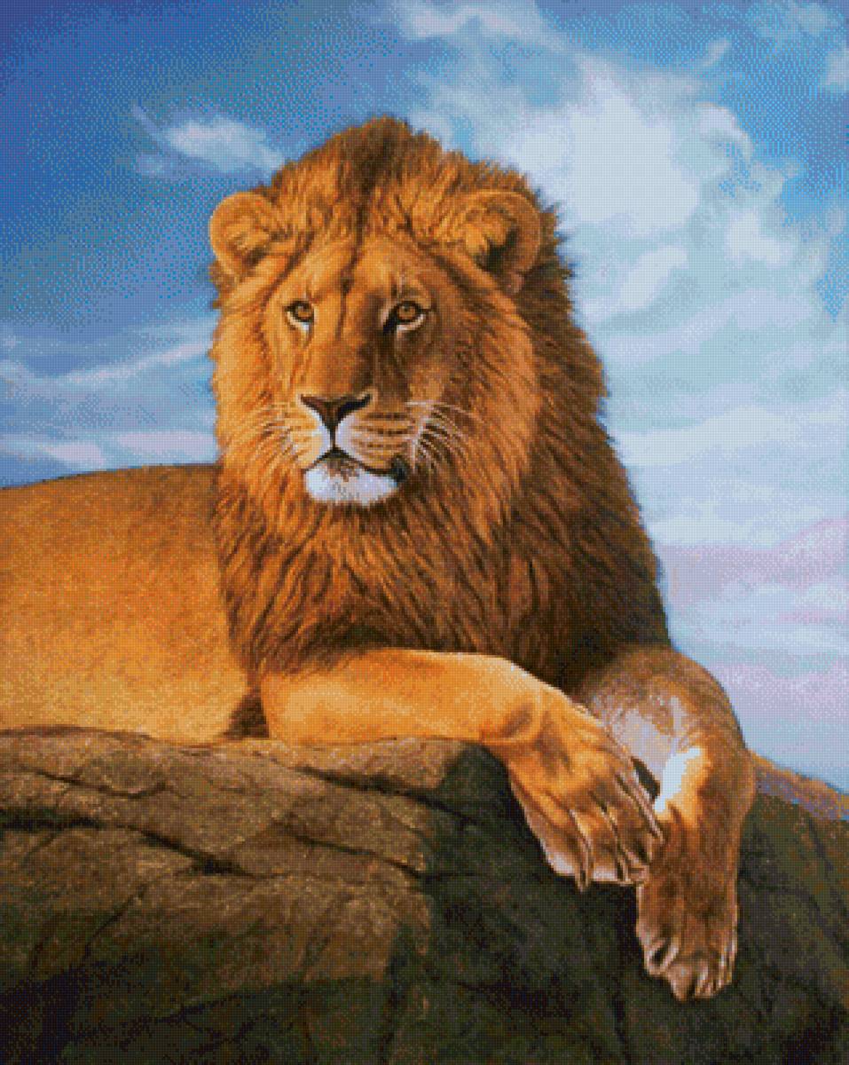 Лев - рисунок, картина, лев, животные, скала, небо - предпросмотр