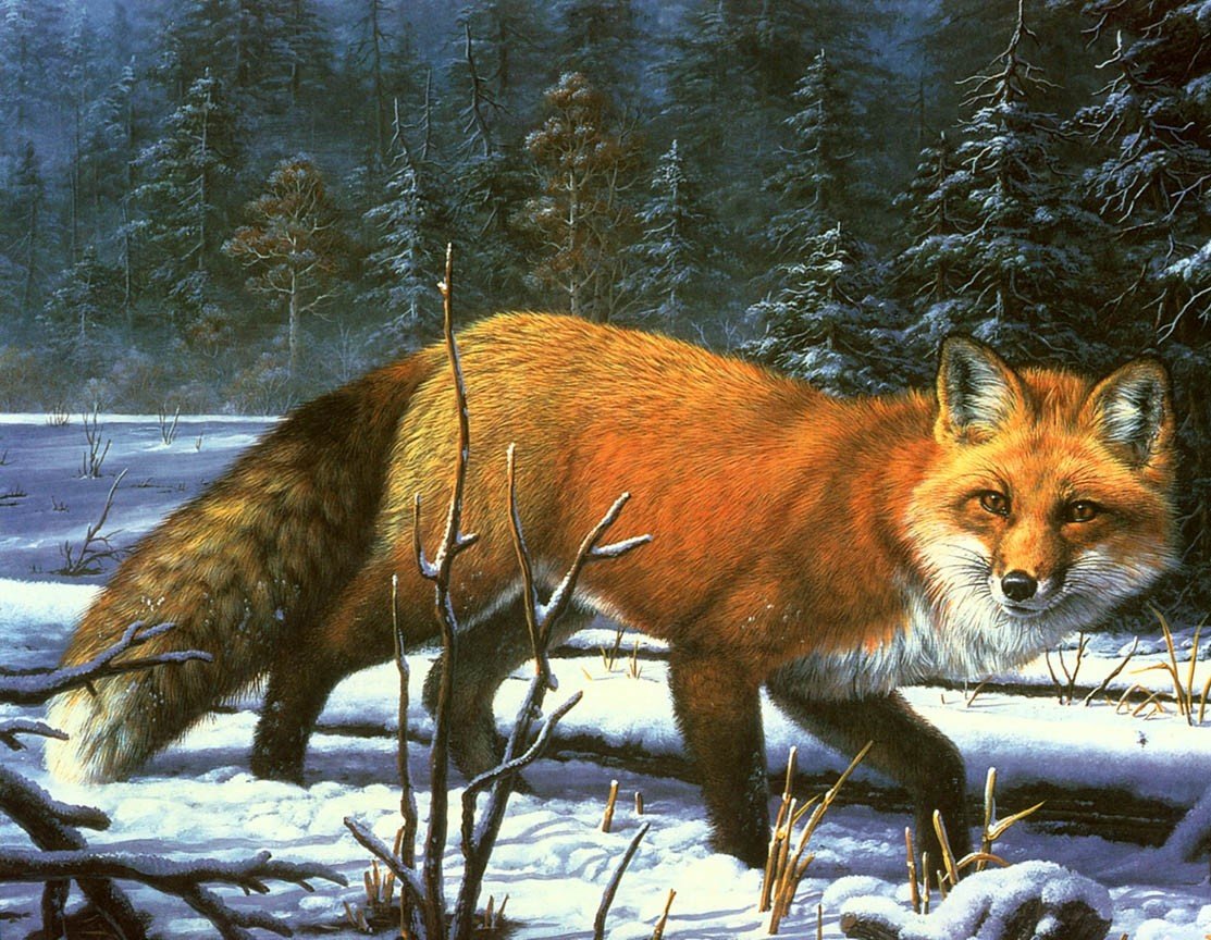 лиса - охота, лиса, зима, пейзаж, зверь - оригинал