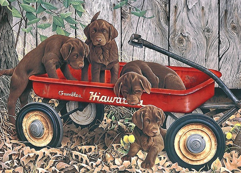 щенки - собаки - оригинал