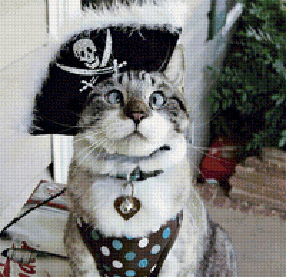 Смешные авы с котиками. Косоглазый кот пират. Кот Спанглс порода. Косоглазый кот Спанглс. Косоглазый кот Джарвис.