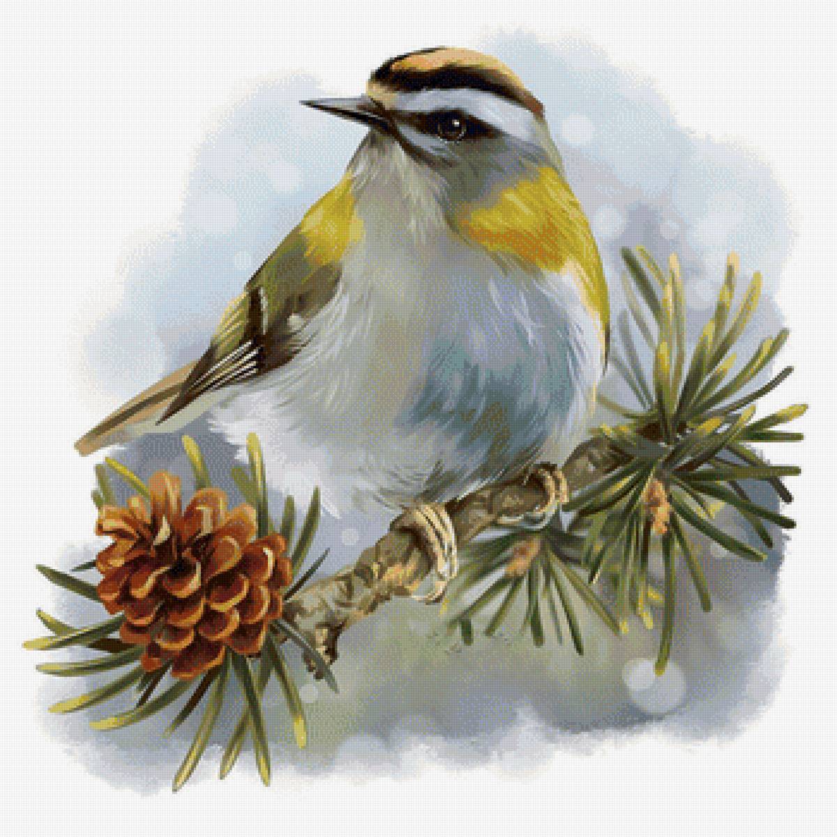 Птичка на ветке - шишка, рисунок, птичка, ветка, птица - предпросмотр