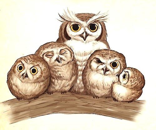 совы - оригинал