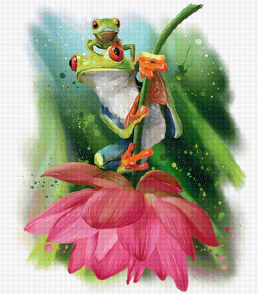 Лягушки на цветке - цветок, лягушки, рисунок - предпросмотр