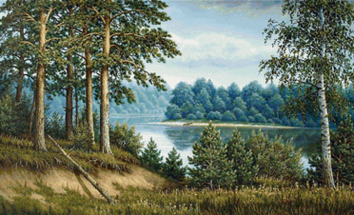 у реки - сосны, природа, лес, река, пейзаж, лето - предпросмотр