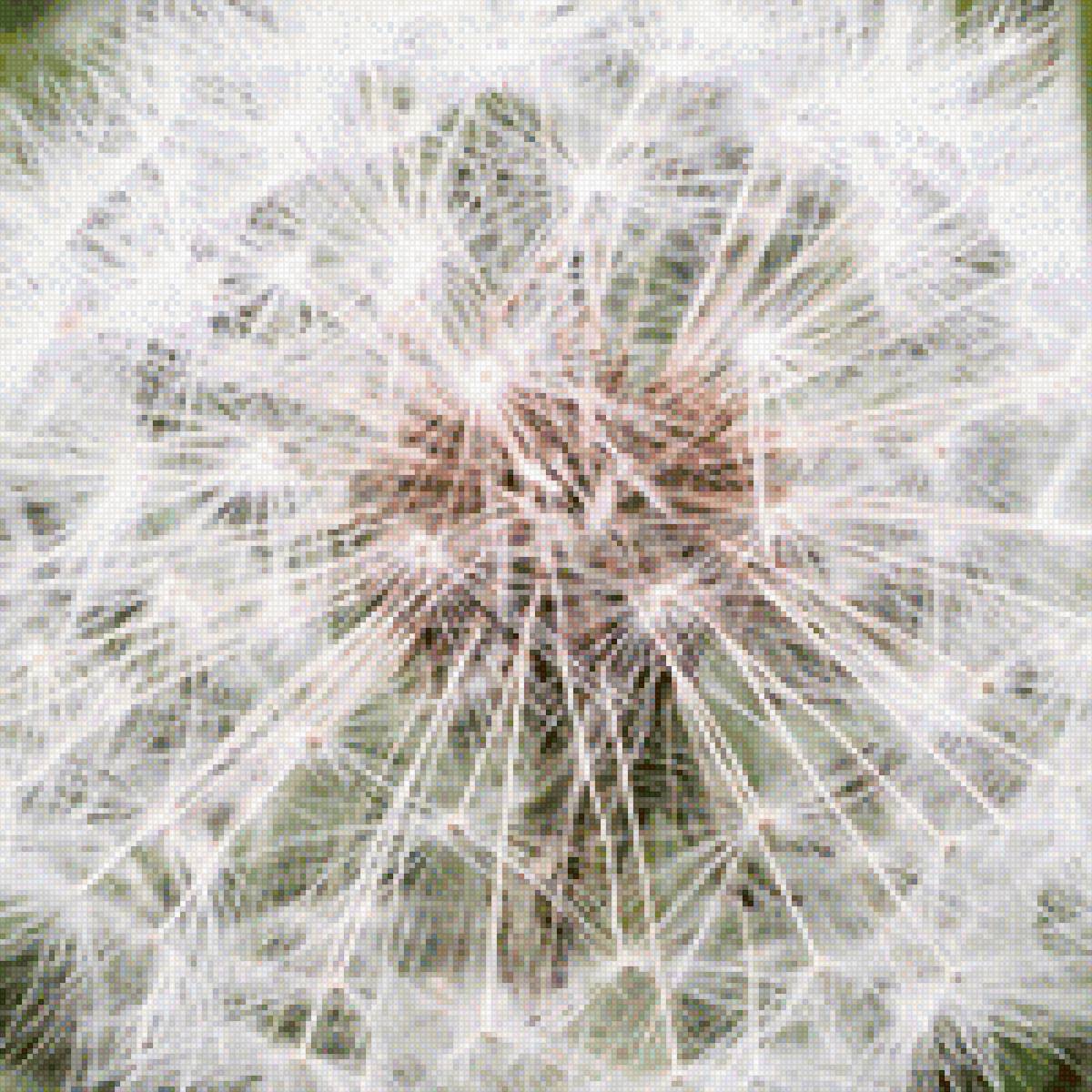 Одуванчик - одуванчик, цветы - предпросмотр