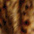 Предпросмотр схемы вышивки «Рыси» (№1872185)