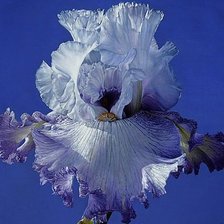 Схема вышивки «№1872545»