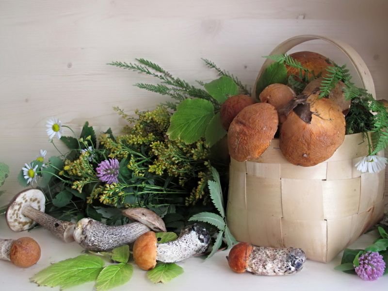 НАТЮРМОРТ - грибы, корзина - оригинал