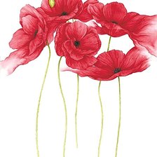 Схема вышивки «№1872612»