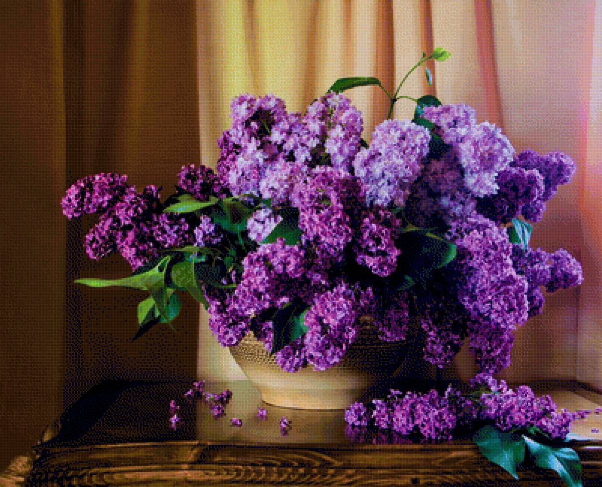 Сирень - сирень, букет, цветы, натюрморт - предпросмотр