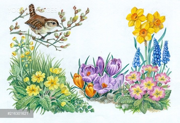 jarné kvety - оригинал