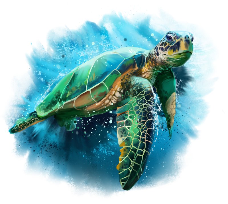 Морская черепаха - черепаха, рисунок, море, животные - оригинал