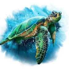 Оригинал схемы вышивки «Морская черепаха» (№1872803)