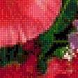 Предпросмотр схемы вышивки «Цветы» (№1872840)