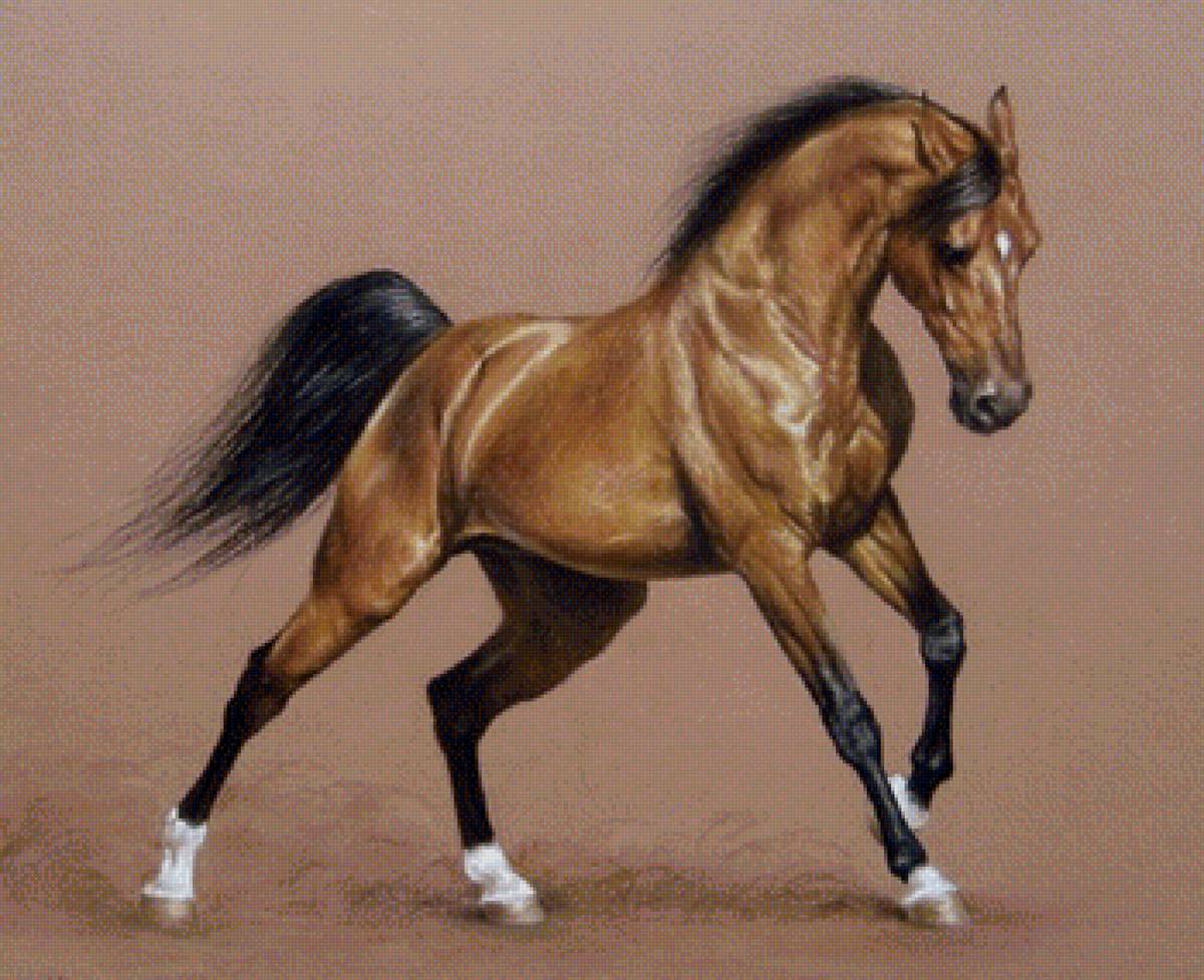 Скакун - конь - предпросмотр