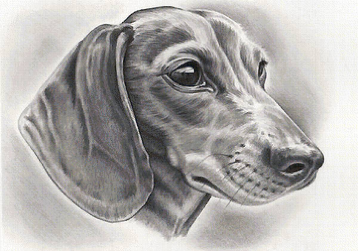 рисунок - предпросмотр