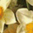 Предпросмотр схемы вышивки «Нарциссы и белая сирень» (№1873168)