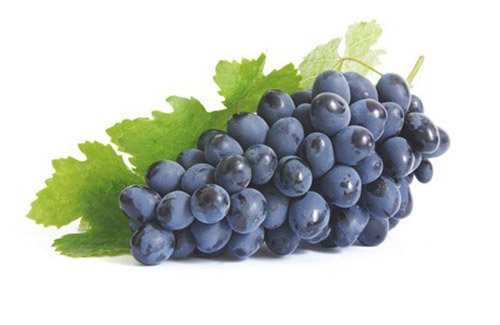 Чёрный виноград - фрукты - оригинал