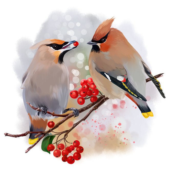 Птички - птицы, птички, рисунок - оригинал