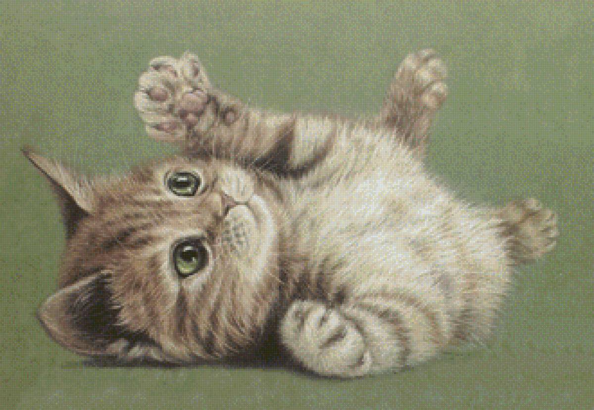 Котёнок - животные, котенок - предпросмотр