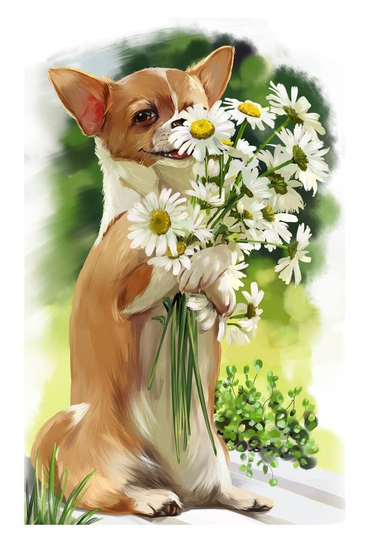 Щенок и ромашки - собака, щенок, животные, рисунок, ромашки, цветы - оригинал