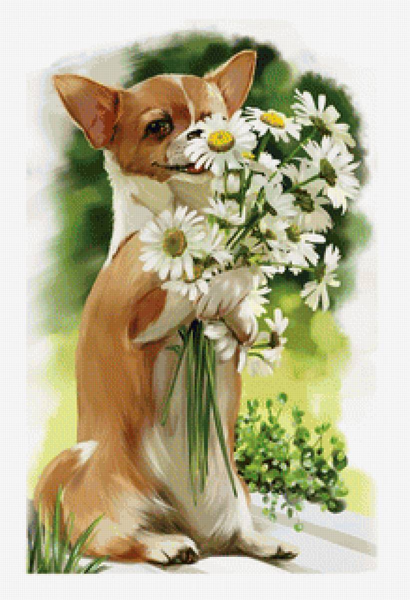 Щенок и ромашки - рисунок, цветы, собака, щенок, ромашки, животные - предпросмотр