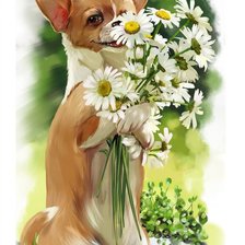 Щенок и ромашки