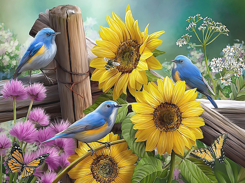 Серия "Птицы" - фауна, птицы - оригинал