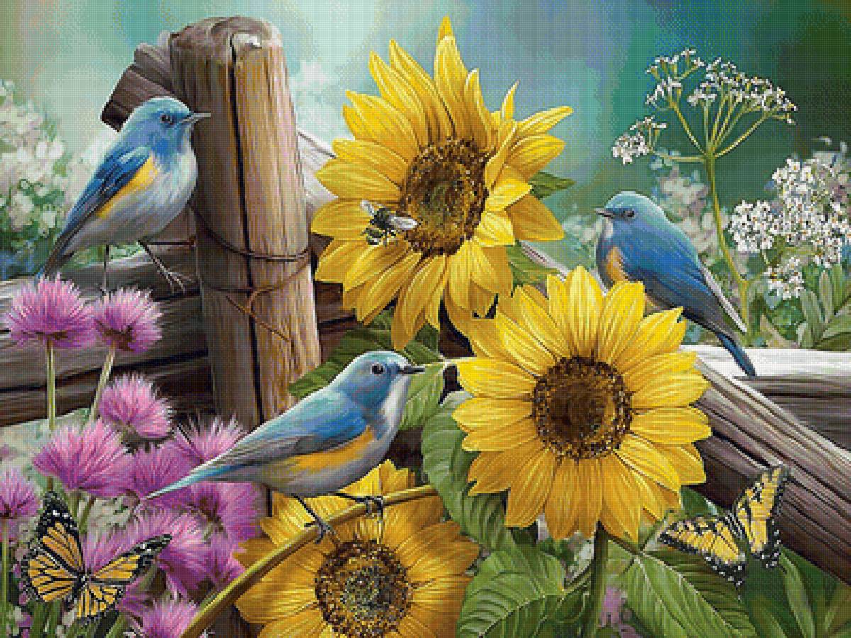 Серия "Птицы" - фауна, птицы - предпросмотр