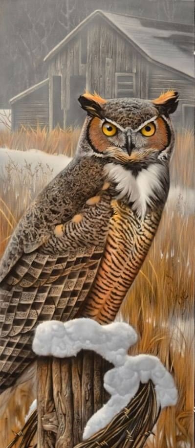 птицы - оригинал