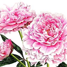 Схема вышивки «№1873783»