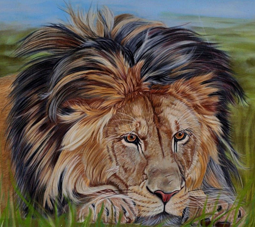 №1873794 - львы, животные - оригинал