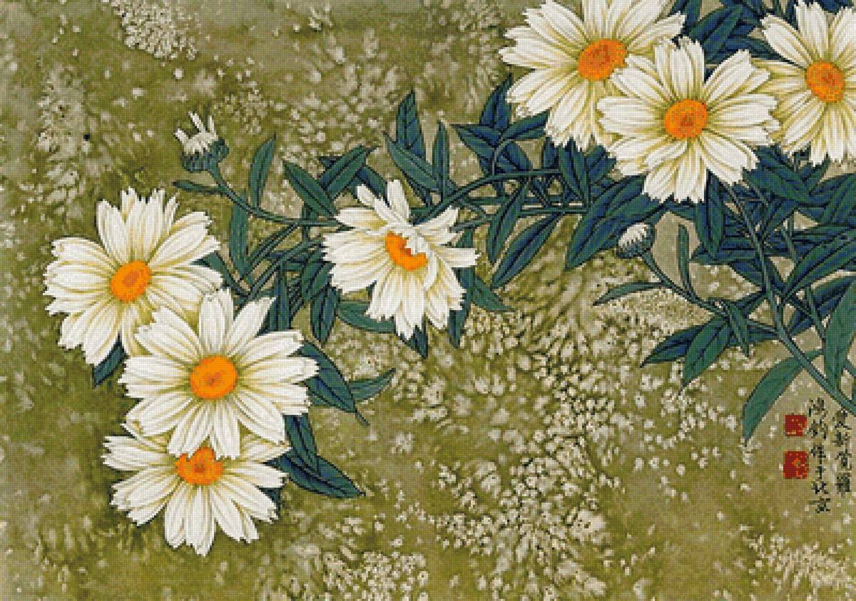 Хризантемы - цветы, белые цветы - предпросмотр