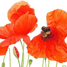 Схема вышивки «№1874057»