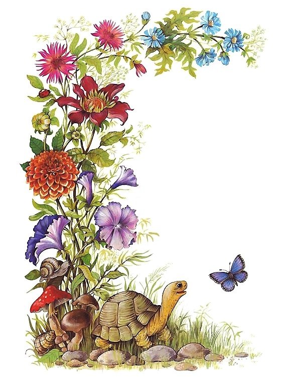 цветы и черепаха - оригинал