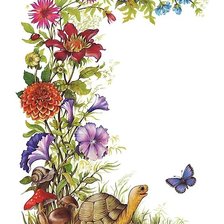 цветы и черепаха